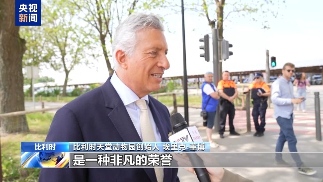 比利时天堂动物园喜迎“贵客” 金丝猴开启欧洲新生活