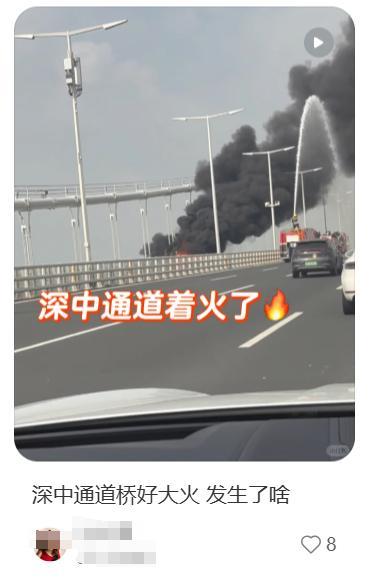 深中通道一车辆起火 现场浓烟滚滚 消防迅速响应灭火