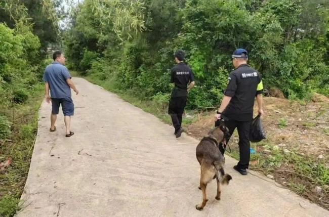 警犬进山历时20余小时救4人 生命接力展现人间大爱