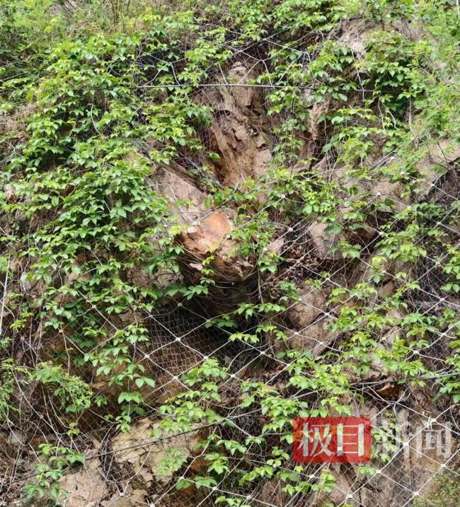 男子被落石砸中身亡 女儿不知爸爸已去世 家庭痛失顶梁柱