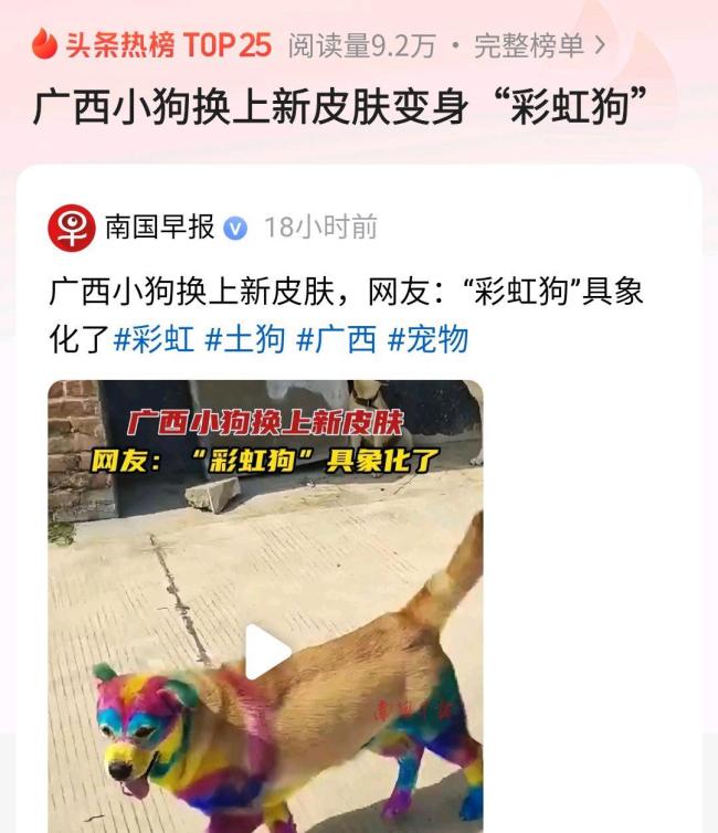 小狗换上新皮肤变“彩虹狗”走红网络 主人回应