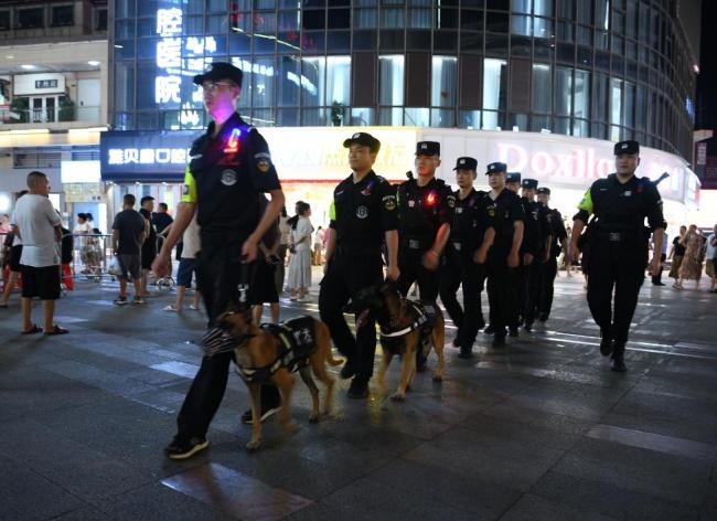 警犬进山历时20余小时救4人 生命接力展现人间大爱