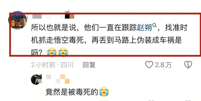 赵朔正在找小猫悟空去世线索 车祸真相存疑