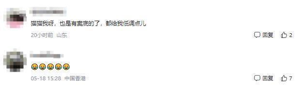 泰国猫咪袭警被捕超萌入狱照走红