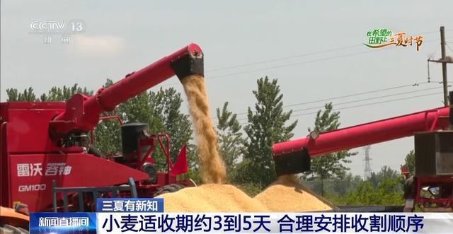 小麦适收期只有3到5天 几成熟收最好？怎样判断蜡熟末期？