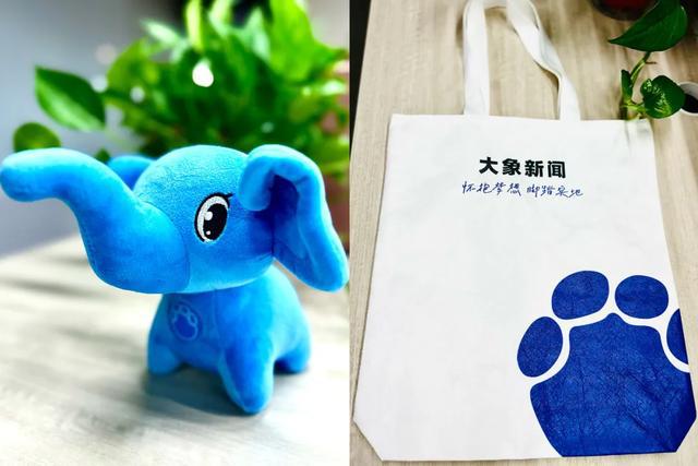 人大代表蒋胜男谈“离婚冷静期”：结婚不要户口本，年轻人为何更“恐婚”？