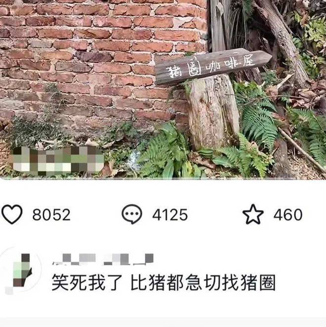 开进城市公厕的精品咖啡，让年轻人转场村咖试运气