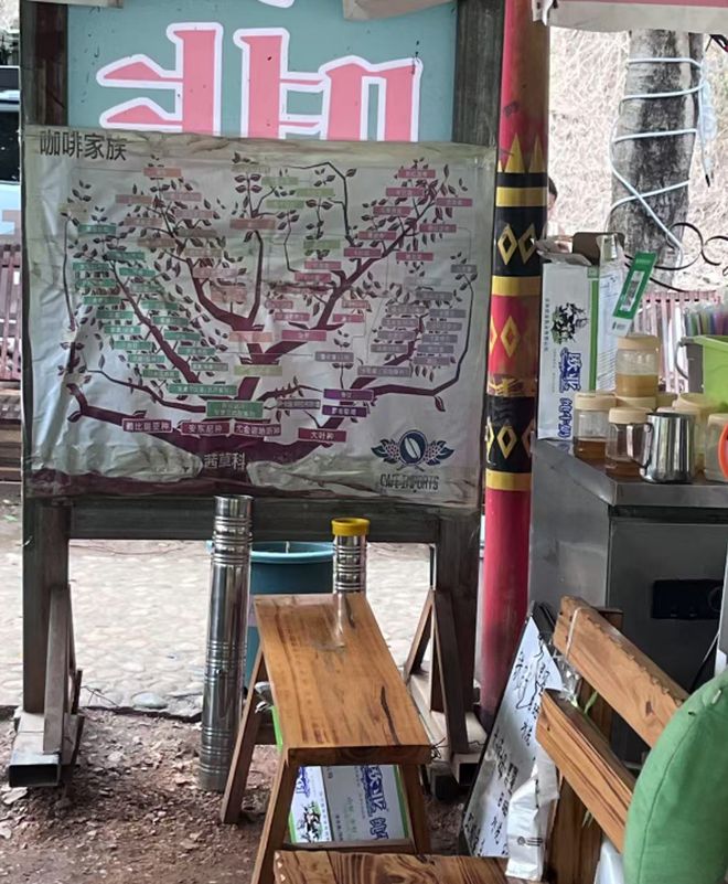开进城市公厕的精品咖啡，让年轻人转场村咖试运气
