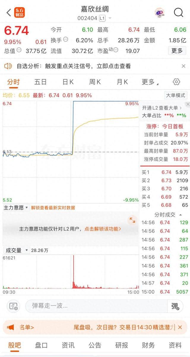 5分钟！直线涨停！