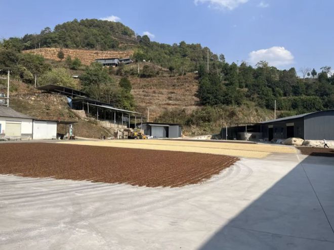 开进城市公厕的精品咖啡，让年轻人转场村咖试运气