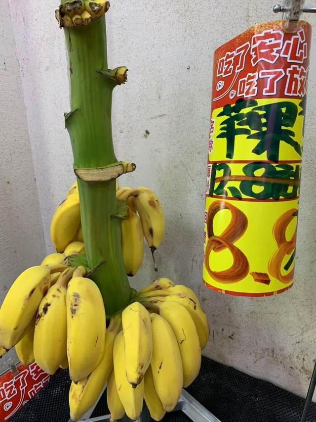 水果价格多数在降 香蕉为何贵了一倍 2元一斤的几乎绝迹